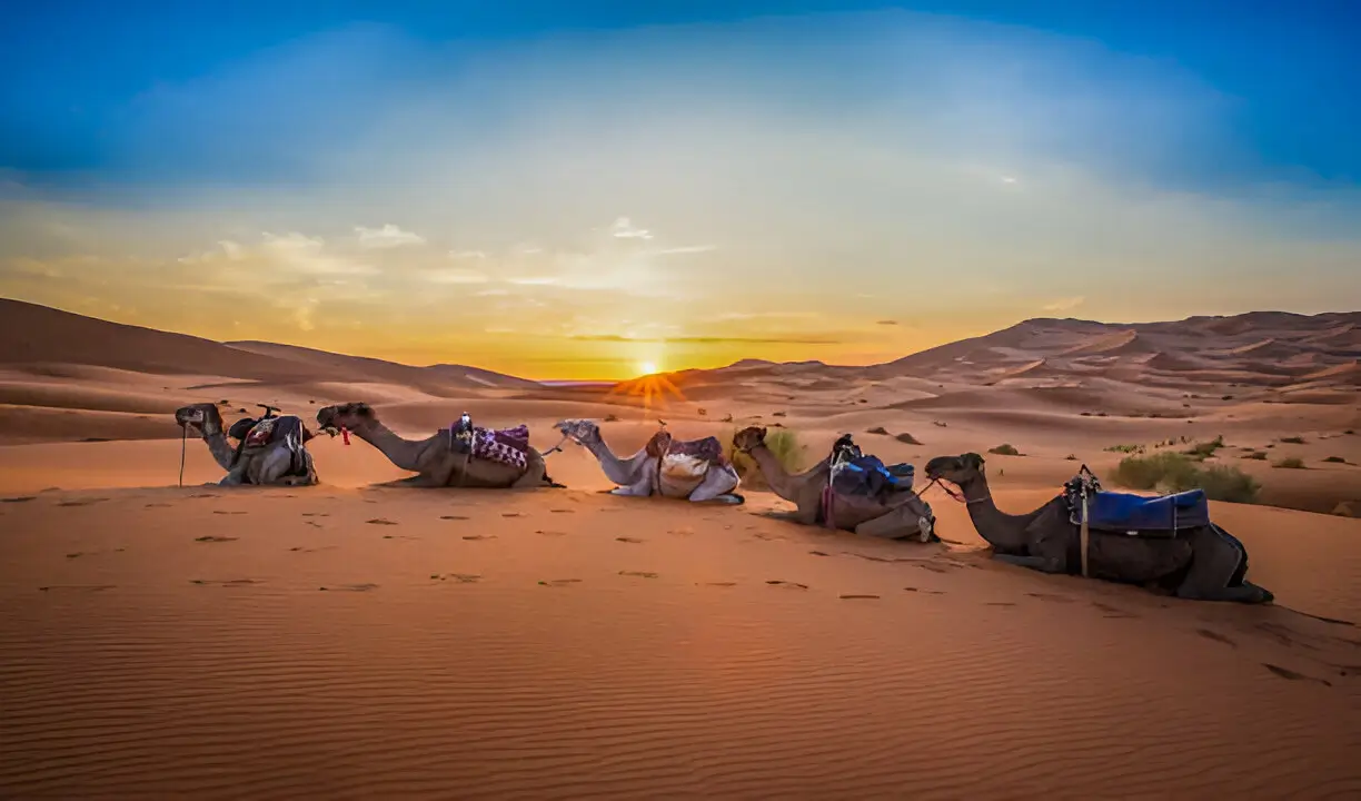 visit morocco,Best Time to Visit Morocco