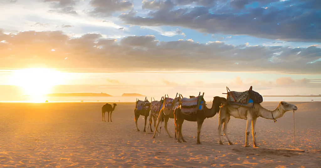 things to do in agadir