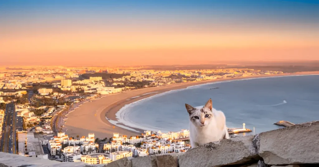 agadir oufella